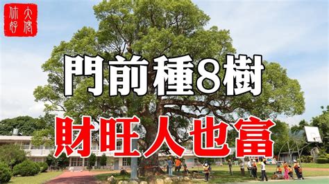 門前種什麼樹|【門前種什麼樹好】門前種哪3種樹最旺宅？避開6種厄運樹，財運。